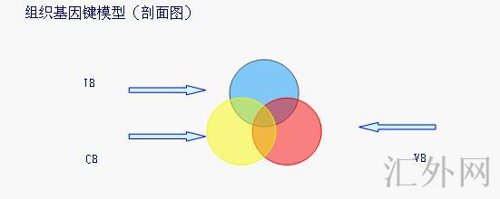 汇外网 - 全球专业的黄金外汇门户导航行情资讯网站