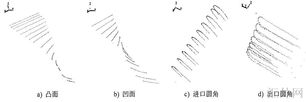 大叶片点云